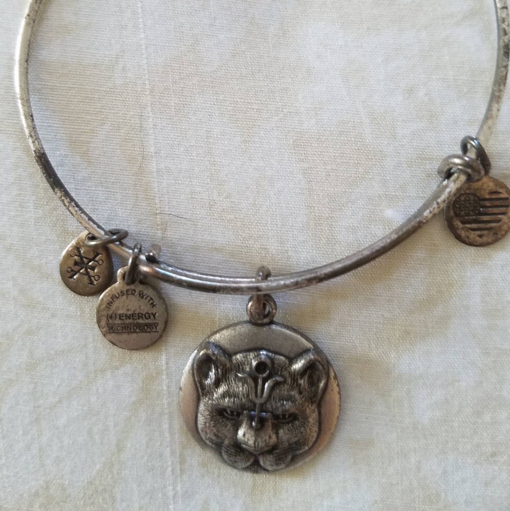 Alex and Ani wild heart panther bracelet